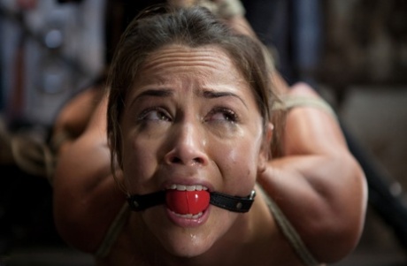 Sweet girl finds herself ball gagged while being masturbated in bondage 86717437