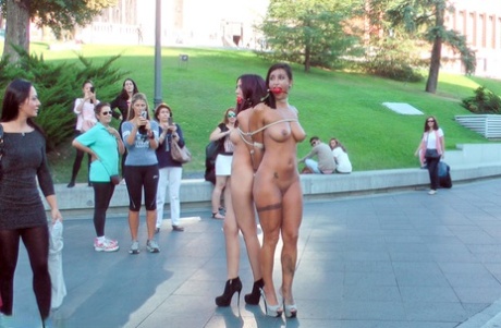 Beautiful girls are tied together during a public humiliation session 85421164